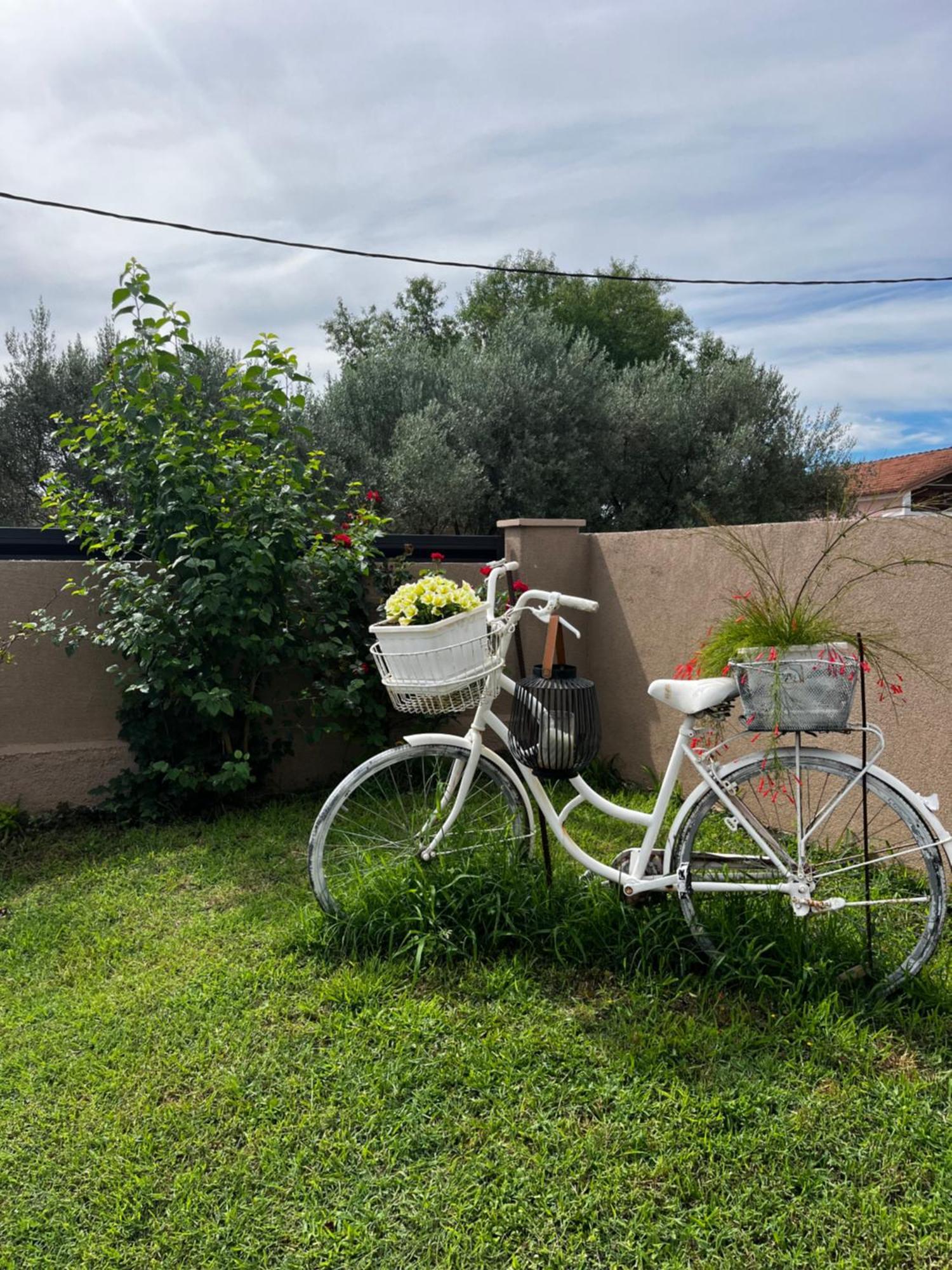 Apartman Marta Zadar Buitenkant foto